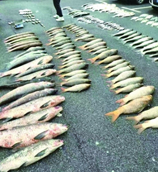 40吨非法捕捞水产品，100万暴利背后隐藏的惊天秘密
