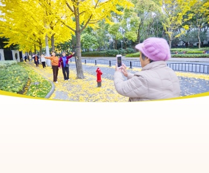抓紧时间！上海46条落叶景观道仅剩一半，黄浦青浦延长至12月22日  第1张