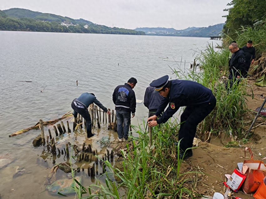 惊！城中区执法人员突袭河岸，私搭钓鱼台竟藏如此秘密