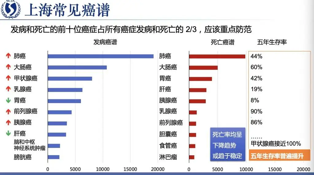 揭秘上海癌症防治新突破：早期诊断率提升至40%，五年生存率高达59%  第2张