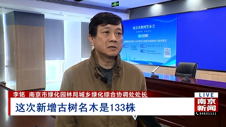 南京古树名木普查揭秘：2215株绿色古董，新增133株，分布在哪？  第2张