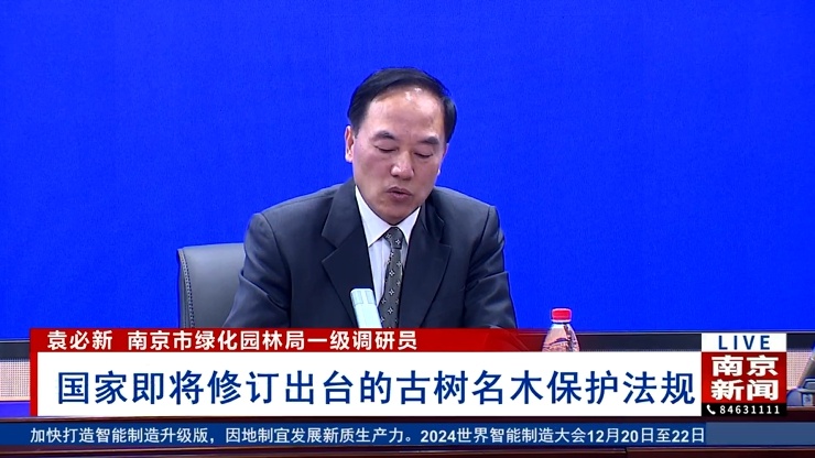 南京古树名木普查揭秘：2215株绿色古董，新增133株，分布在哪？  第4张