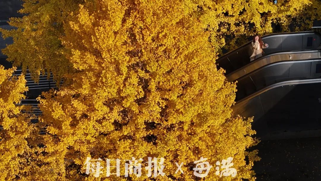 杭州严冬来袭！未来一周寒意逼人，最低气温降至-6℃，你准备好了吗？  第3张