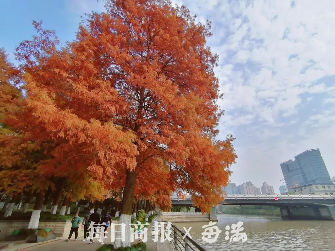 杭州严冬来袭！未来一周寒意逼人，最低气温降至-6℃，你准备好了吗？  第6张