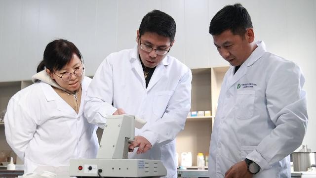揭秘山东智沃：如何用秸秆打造环保新未来，引领绿色产业革命  第2张