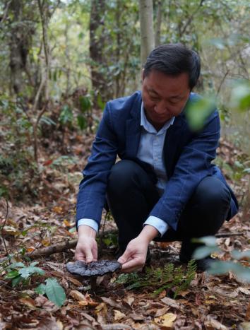 冬日暖流：抚州林业局获赠2万元灵芝孢子粉，助力肿瘤患者战胜病魔  第2张