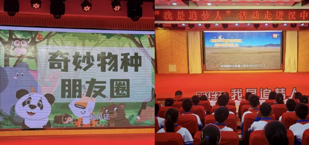 揭秘朱鹮小课堂：从田间到课堂，看洋县师生如何守护生物多样性  第2张