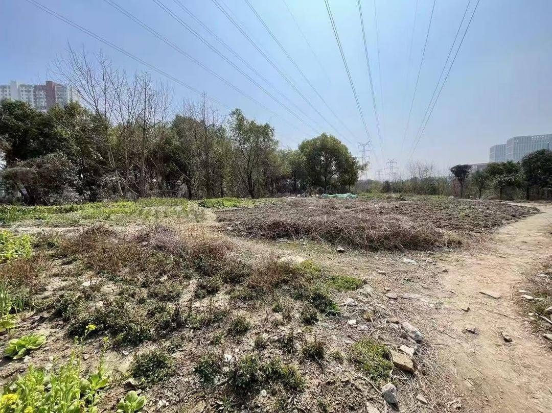 平良大街北停车场试运营！金穗花园小区停车难问题终于迎来转机  第3张