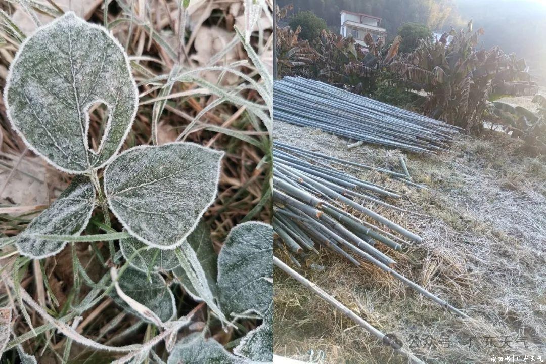 广东未来几天持续寒冷！高海拔山区零下3℃，冬至再迎冷空气，如何保暖防冻？  第2张