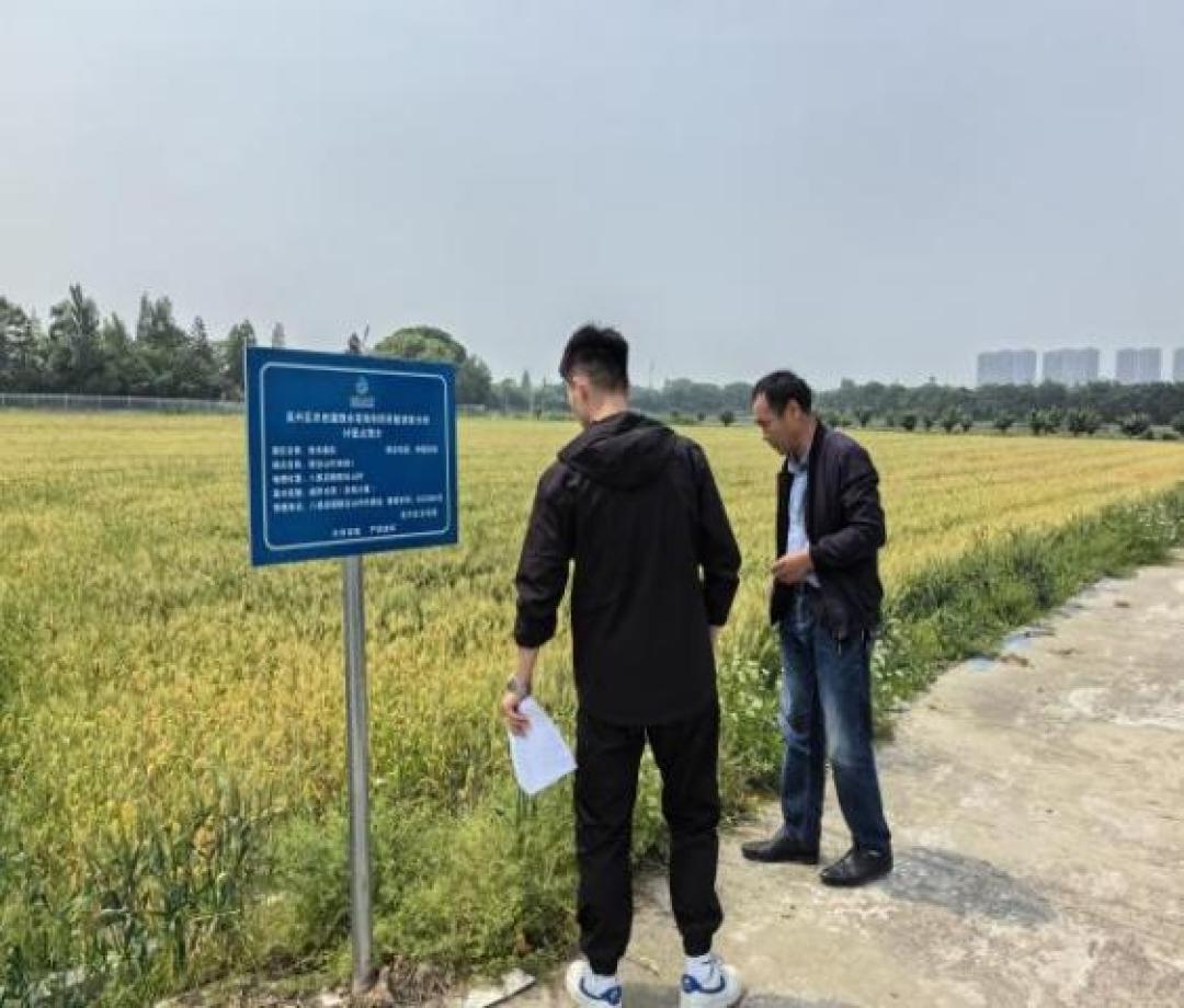 湖州吴兴区农田灌溉效率大提升：从0.631到0.637的惊人飞跃  第2张