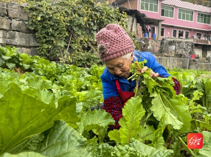 贵州一家因病返贫，村委会紧急救助，脱贫之路再起波澜  第2张