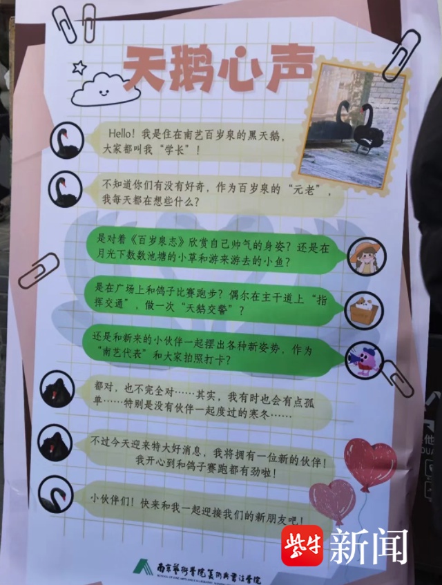 校园黑天鹅浪漫婚礼引爆全校！喜糖甜蜜分享，冬日暖意满满  第2张