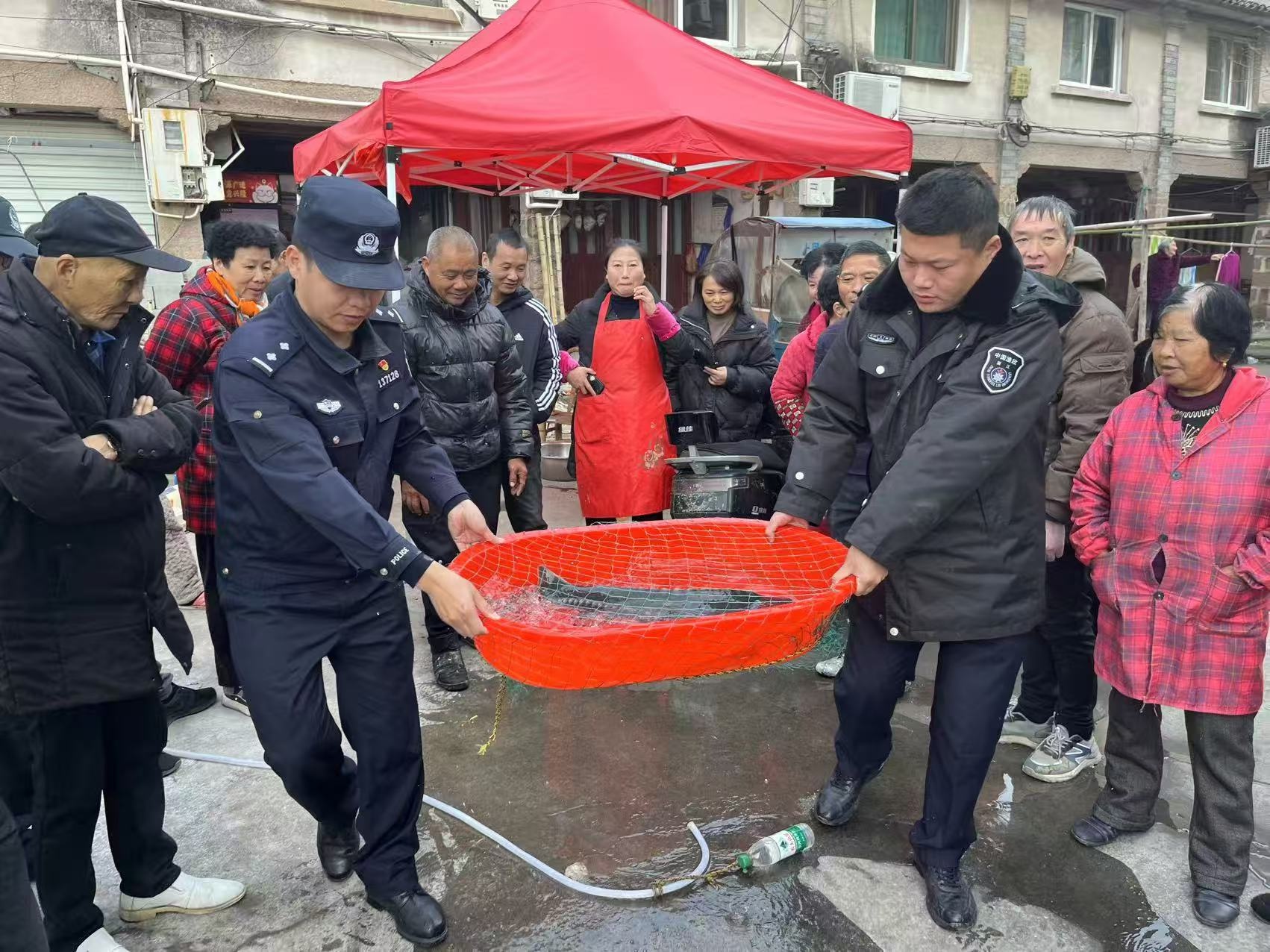惊！平阳渔民意外捕获水中大熊猫，中华鲟重现生机，背后故事令人动容  第2张