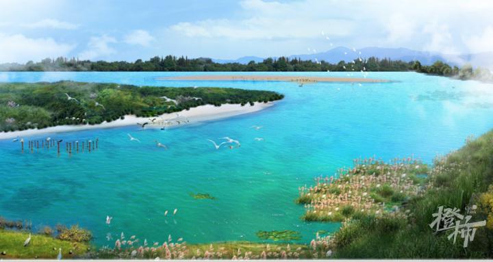 钱塘区蓝色海湾整治行动：5000万生态修复资金如何打造生态新标杆？  第3张