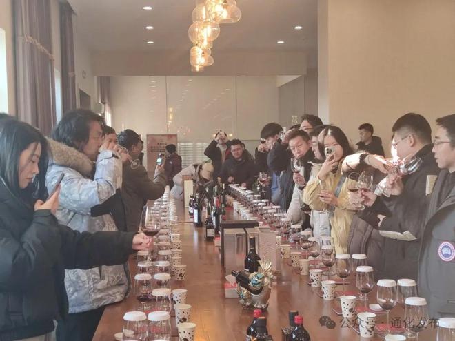 揭秘！长白山下的葡萄酒奇迹，甜润口感征服千万网友  第2张