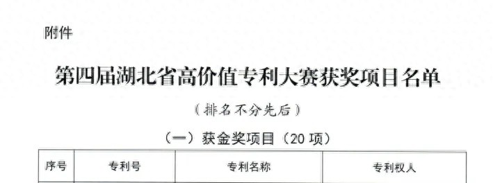 湖北亿纬动力斩获高价值专利金奖，5万元专项奖励助力创新发展  第1张