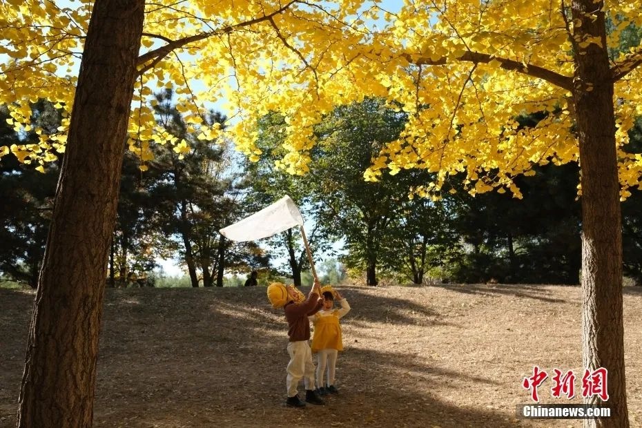 别让身体透支！学会劳逸结合，才能在人生路上走得更远  第3张