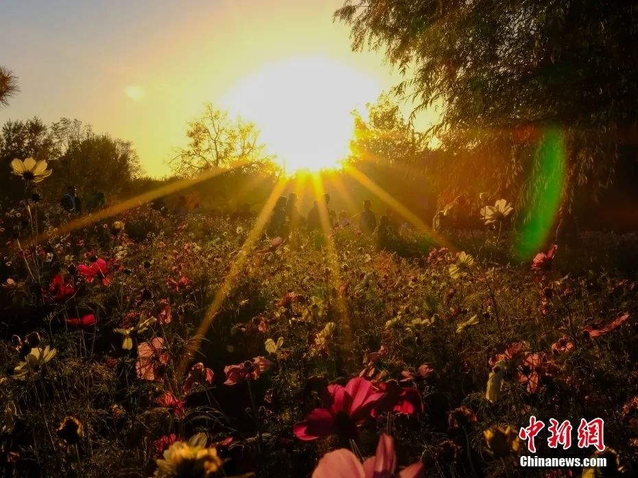 别让身体透支！学会劳逸结合，才能在人生路上走得更远  第4张