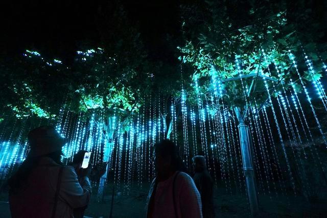 2024 北京朝阳国际灯光节开幕，50 余项光影艺术场景等你来  第6张