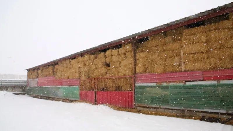 哈密市遭遇寒潮天气，最低温度或将降至-15℃，你准备好了吗？  第5张