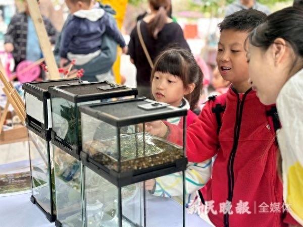第十届上海国际自然保护周启动，9 条生态漫游路线等你来探索  第1张