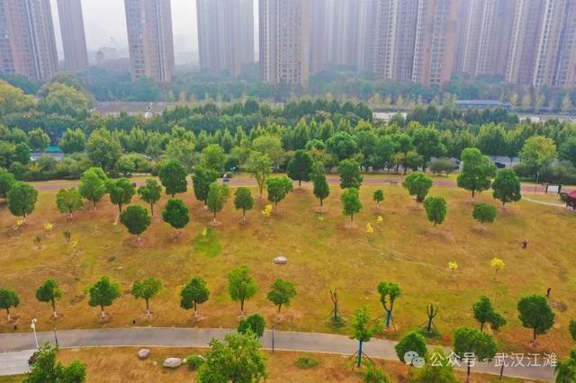 武昌江滩竟藏着一个免费的童话世界，你还不知道吗？  第4张