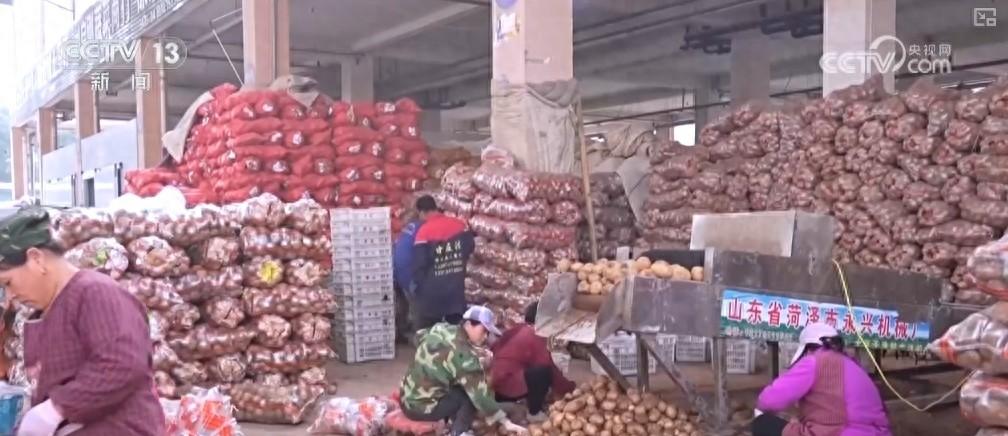 冬储菜大量上市，菜价稳定，你还在等什么？  第1张