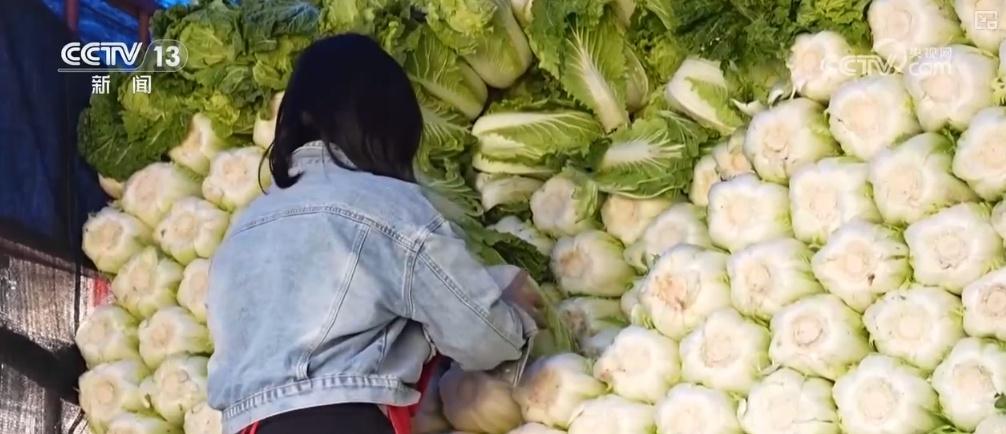 冬储菜大量上市，菜价稳定，你还在等什么？  第3张