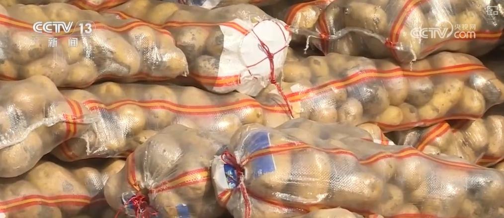 冬储菜大量上市，菜价稳定，你还在等什么？  第4张