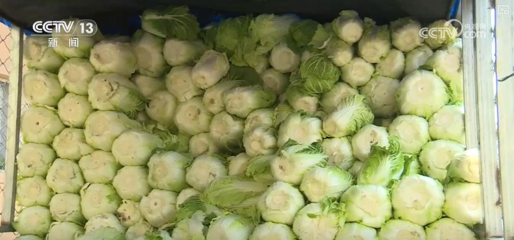 冬储菜大量上市，菜价稳定，你还在等什么？  第5张