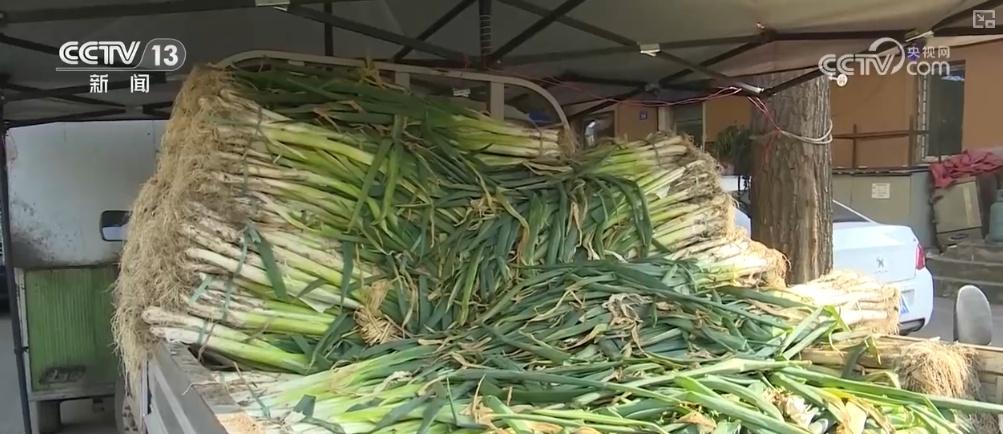 冬储菜大量上市，菜价稳定，你还在等什么？  第7张