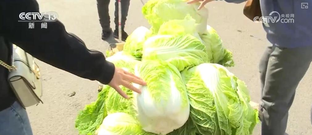冬储菜大量上市，菜价稳定，你还在等什么？  第8张