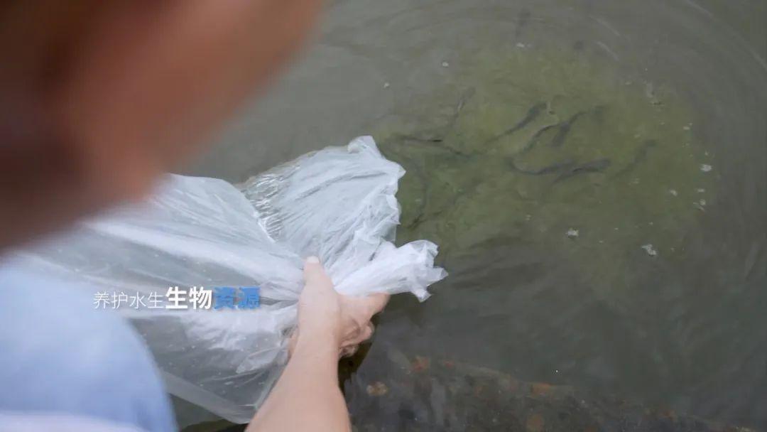 守护蔚蓝，福建在行动！10 月 20 日 18：00，向往的大海带你认识福建的守蔚者  第5张