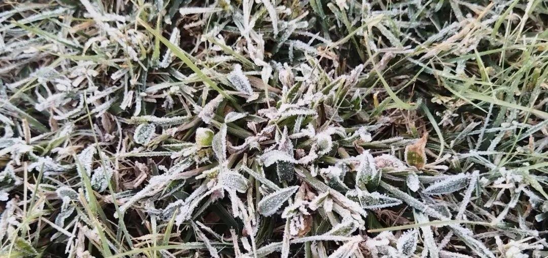 今日北京小雨夹雪，山区降雪！最低气温仅 1℃，你准备好了吗？  第1张