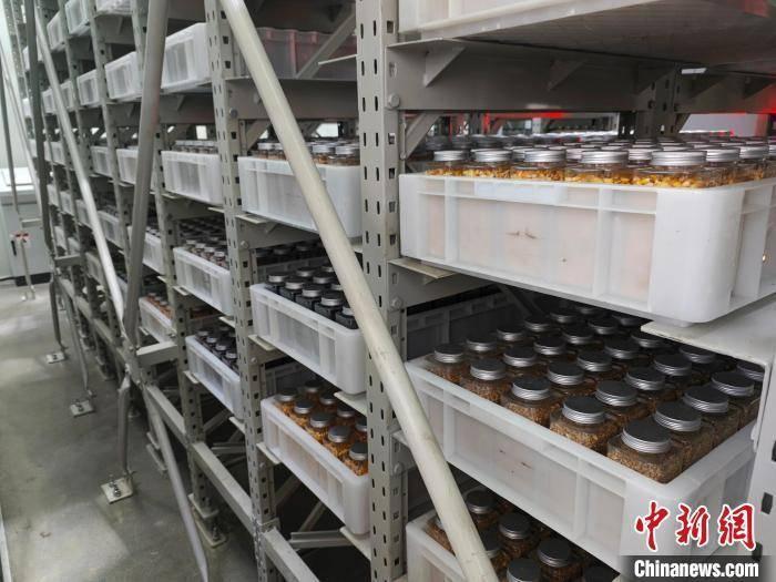 厉害了！中国首个省级综合性种质资源库全面运行，可保存 188.4 万份  第3张