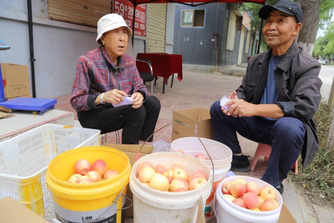 白银四龙红富士成熟季，果农王小龙忙得脚不沾地  第9张