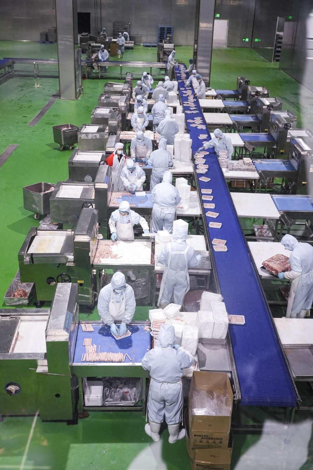 投资超 10 亿！正阳牧歌牛业全产业链项目正式投产运营  第1张