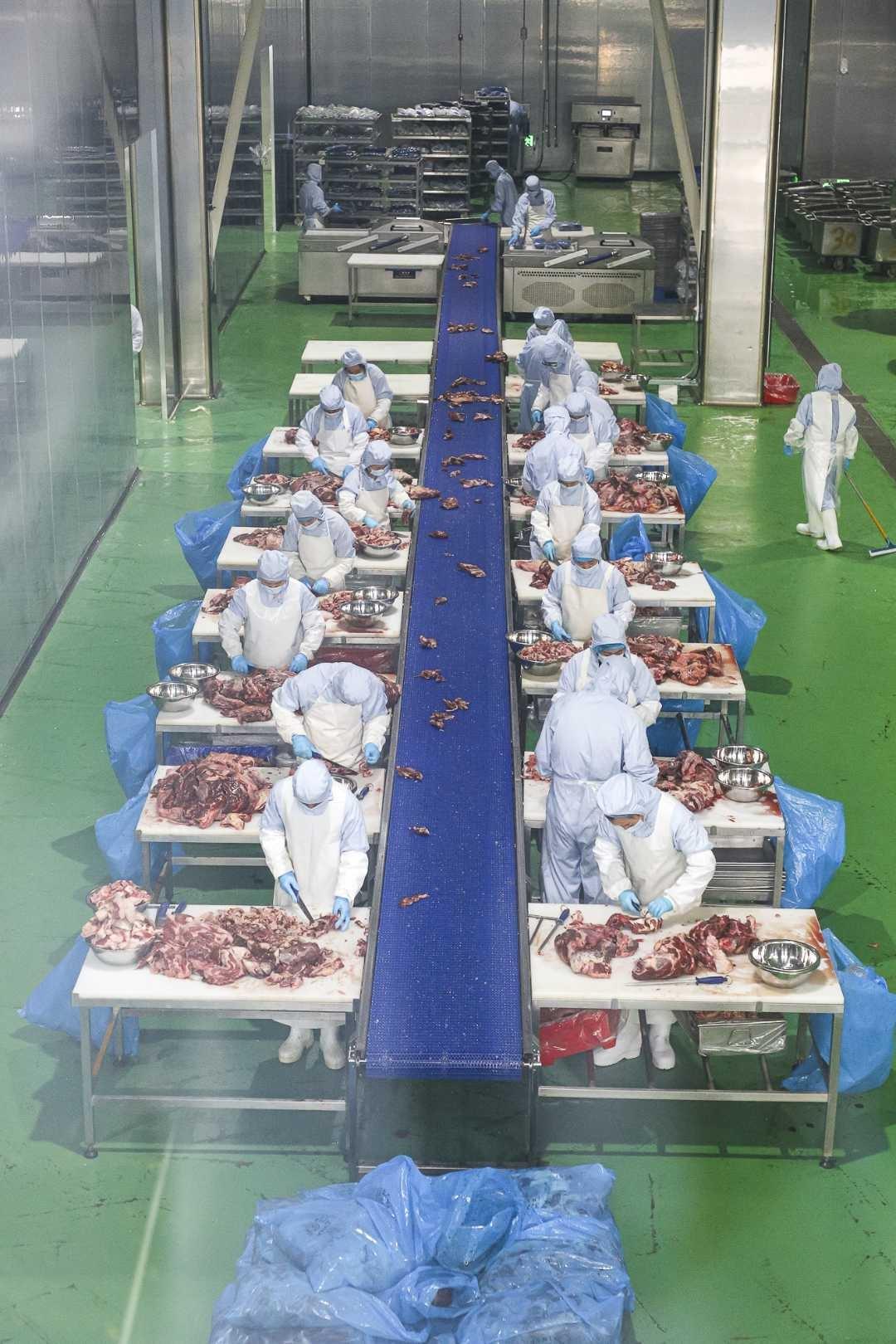 投资超 10 亿！正阳牧歌牛业全产业链项目正式投产运营  第2张
