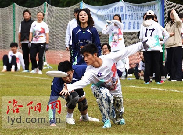196 人参赛！第一届全国全民健身大赛飞盘比赛河南赛区火热开战  第2张