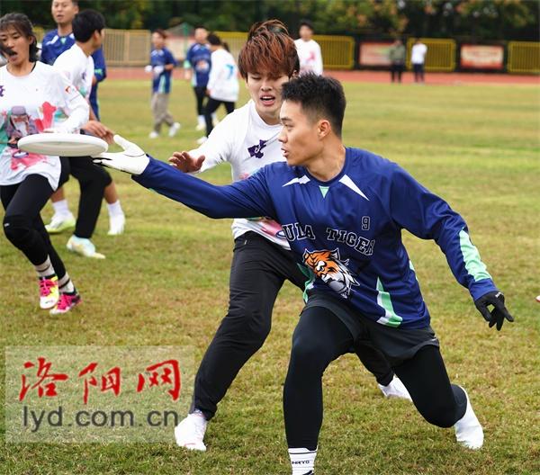 196 人参赛！第一届全国全民健身大赛飞盘比赛河南赛区火热开战  第5张