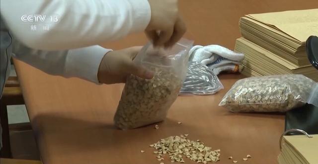 20 岁失明的她，如何在黑暗中成为 4 万页盲文的制造者？  第6张