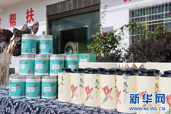 第八届荷花节开幕！航空工业集团助力水井村，村民生活美如画  第5张