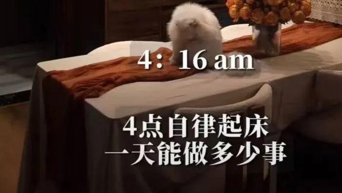精致女孩坐高铁的背后竟然是这样  第2张