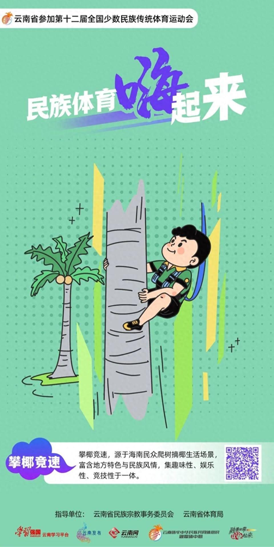 海南天然大温室里的独特赛事，你知道多少？