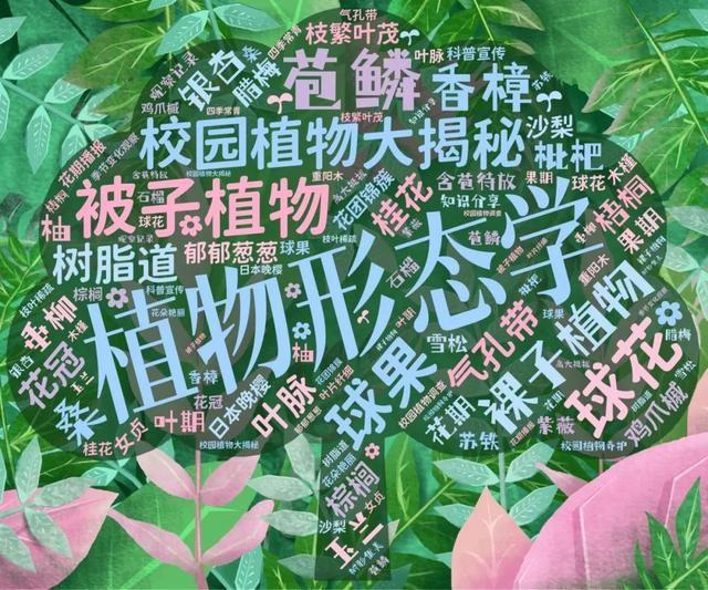 天山学子自制词云海报，社团风采炫酷展现，你绝对没见过  第2张
