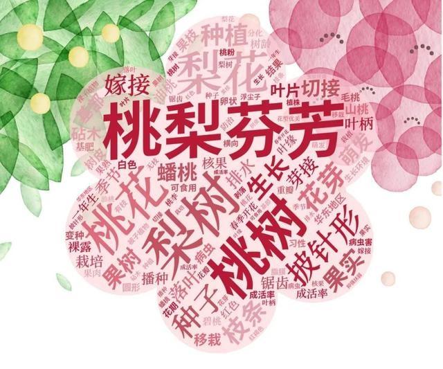 天山学子自制词云海报，社团风采炫酷展现，你绝对没见过  第12张