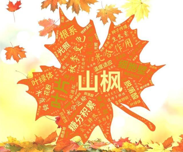 天山学子自制词云海报，社团风采炫酷展现，你绝对没见过  第13张