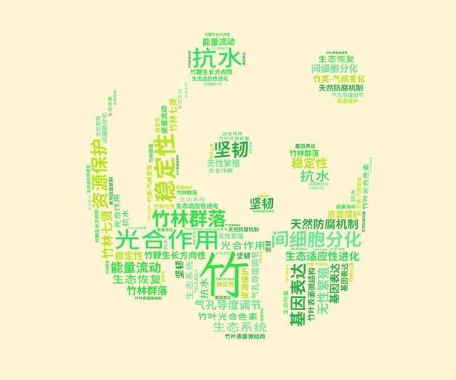 天山学子自制词云海报，社团风采炫酷展现，你绝对没见过  第14张