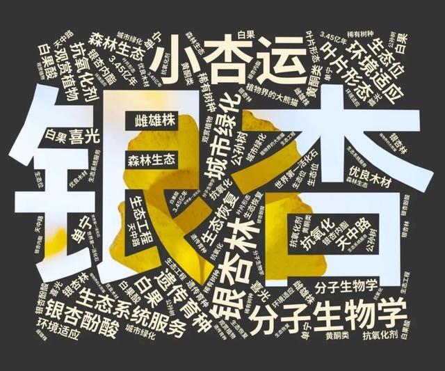 天山学子自制词云海报，社团风采炫酷展现，你绝对没见过  第15张