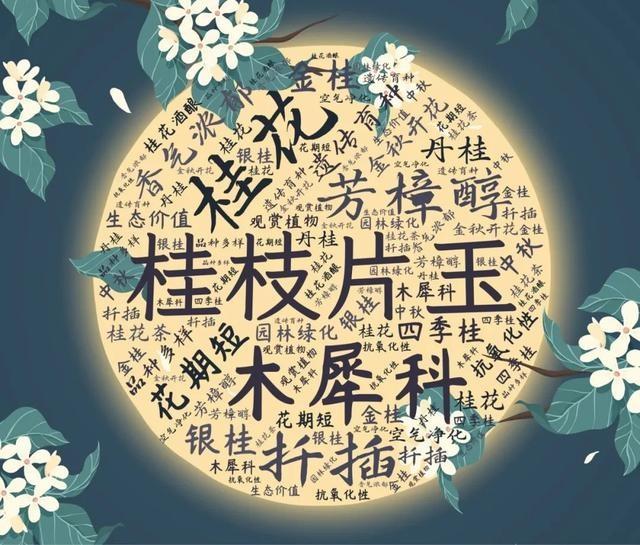 天山学子自制词云海报，社团风采炫酷展现，你绝对没见过  第17张